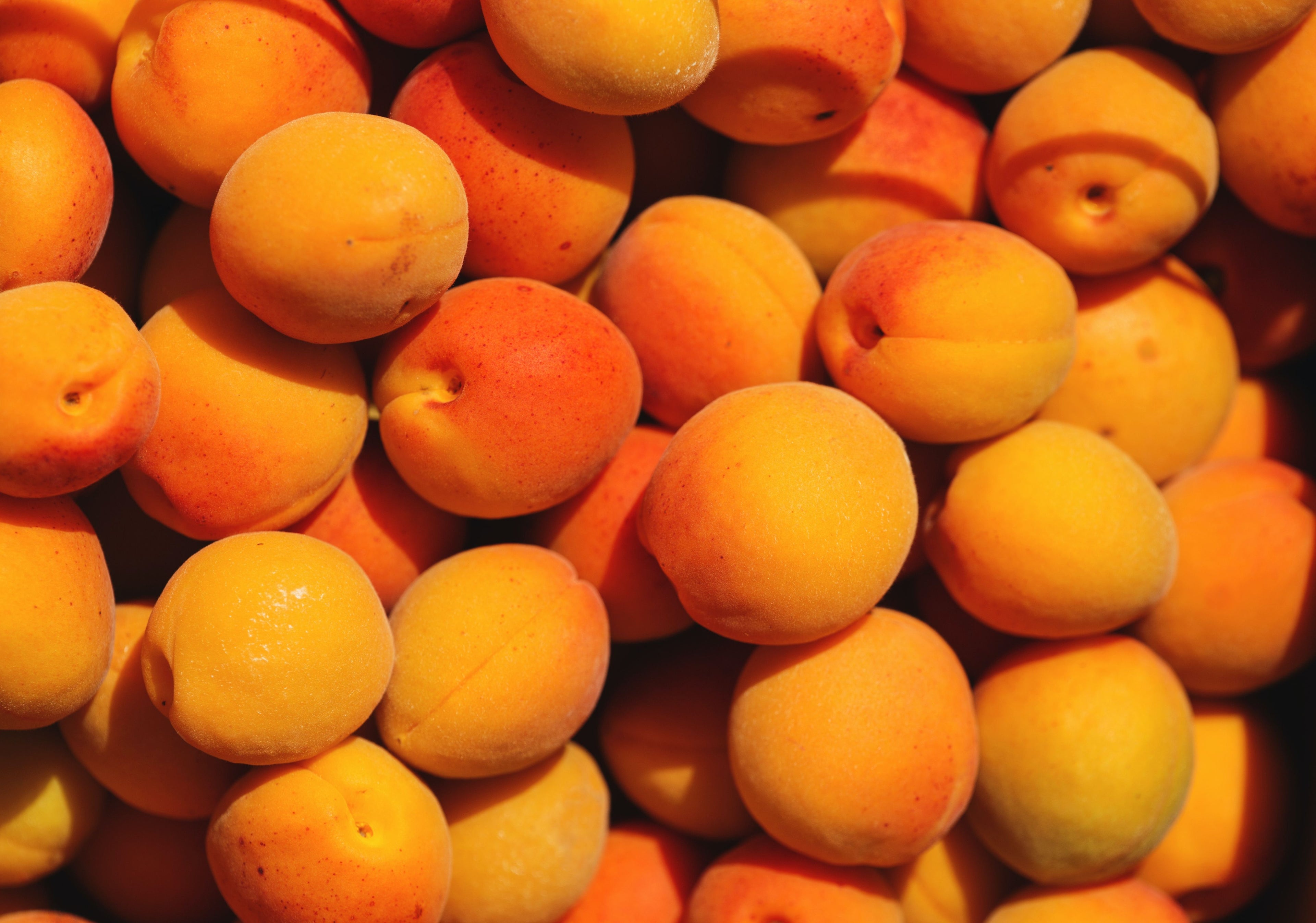 Confitures d'abricots