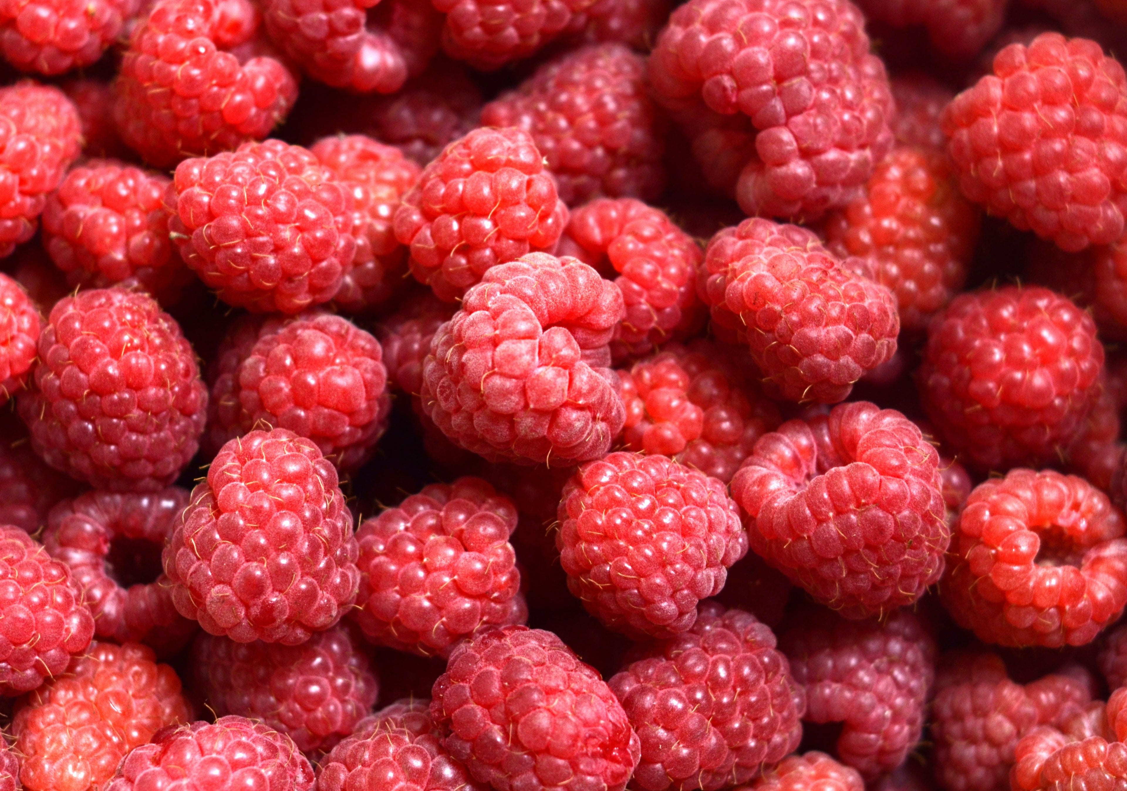 Confitures de framboises