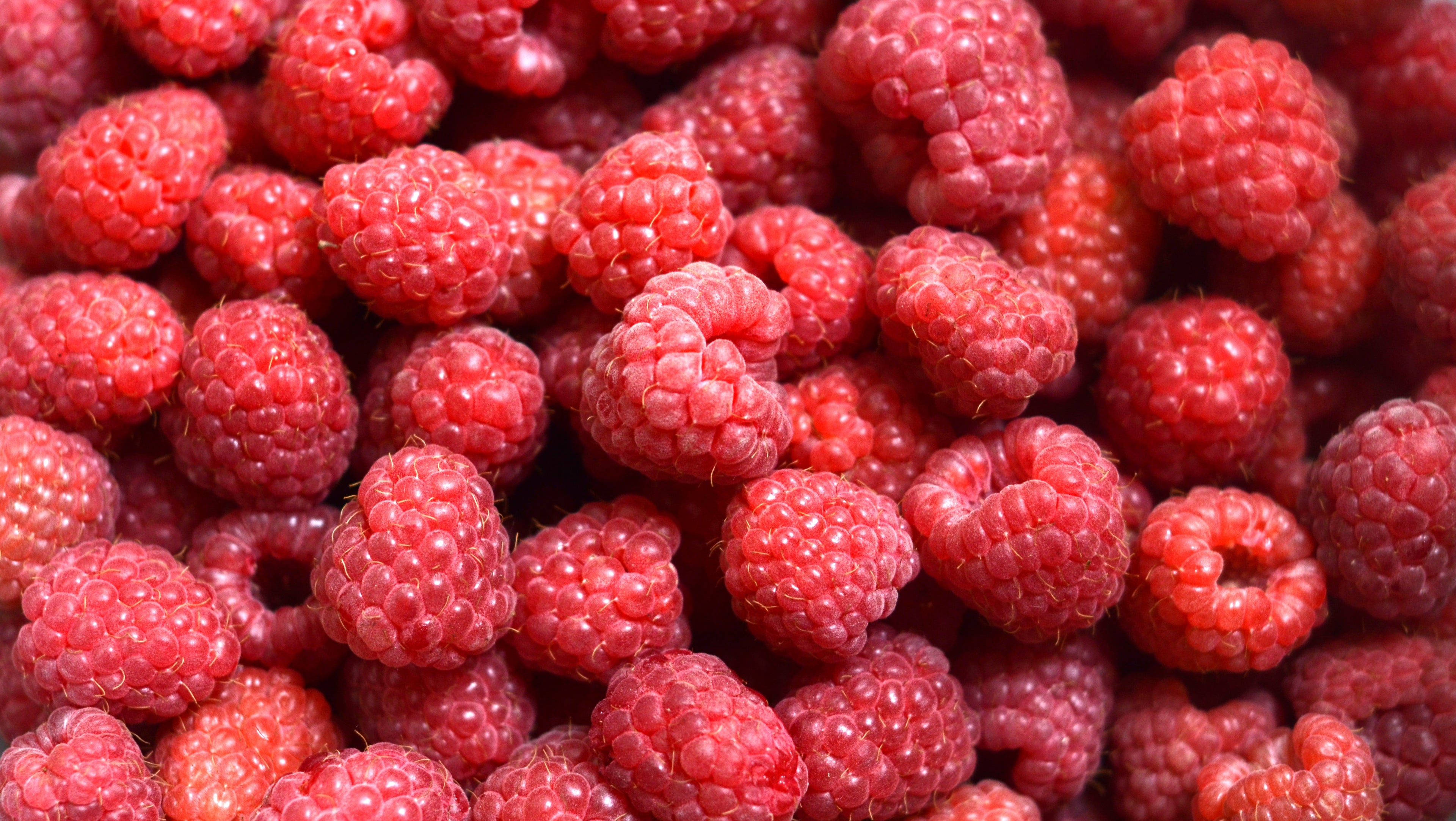Confiture Parisienne - Fruits Rouges