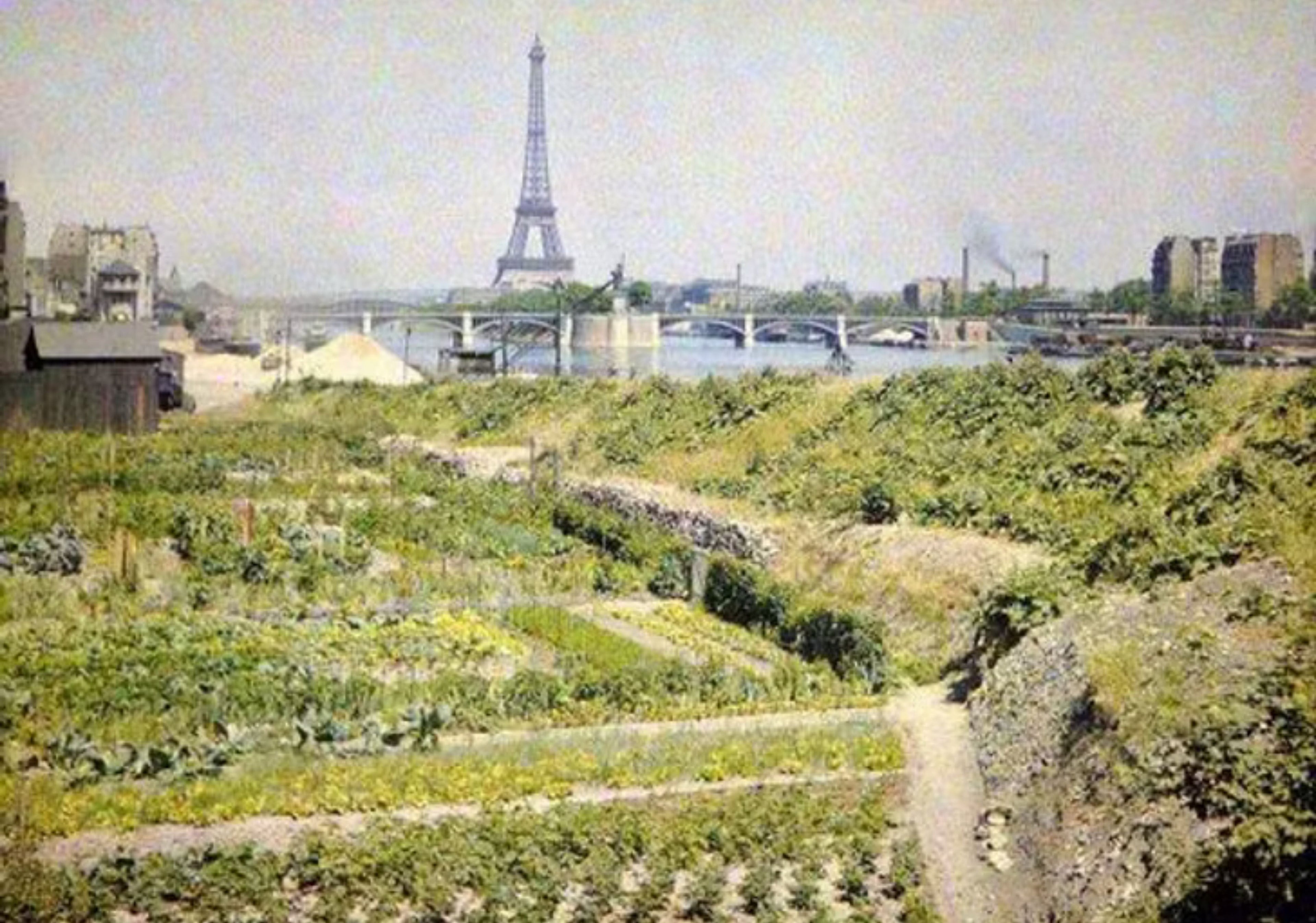 Paris, capitale de la confiture : une histoire oubliée