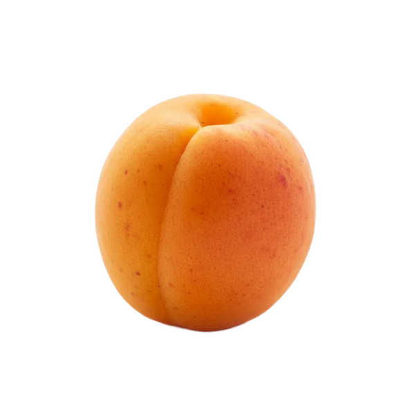 Abricot