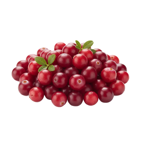 Canneberge
