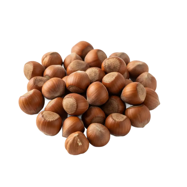 Noisette